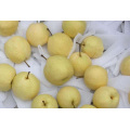 All Natural Golden Crown Pears